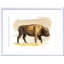 «Bison S croquis I» par Grace Popp - peinture encadrée-684181139-778907003