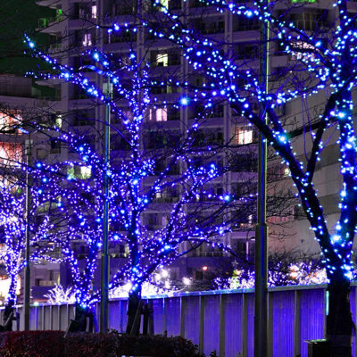 West Brookfield 100 - Bulb 39.4 in. Solar Powered LED Fairy Lights