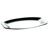 Stainless Steel Tray