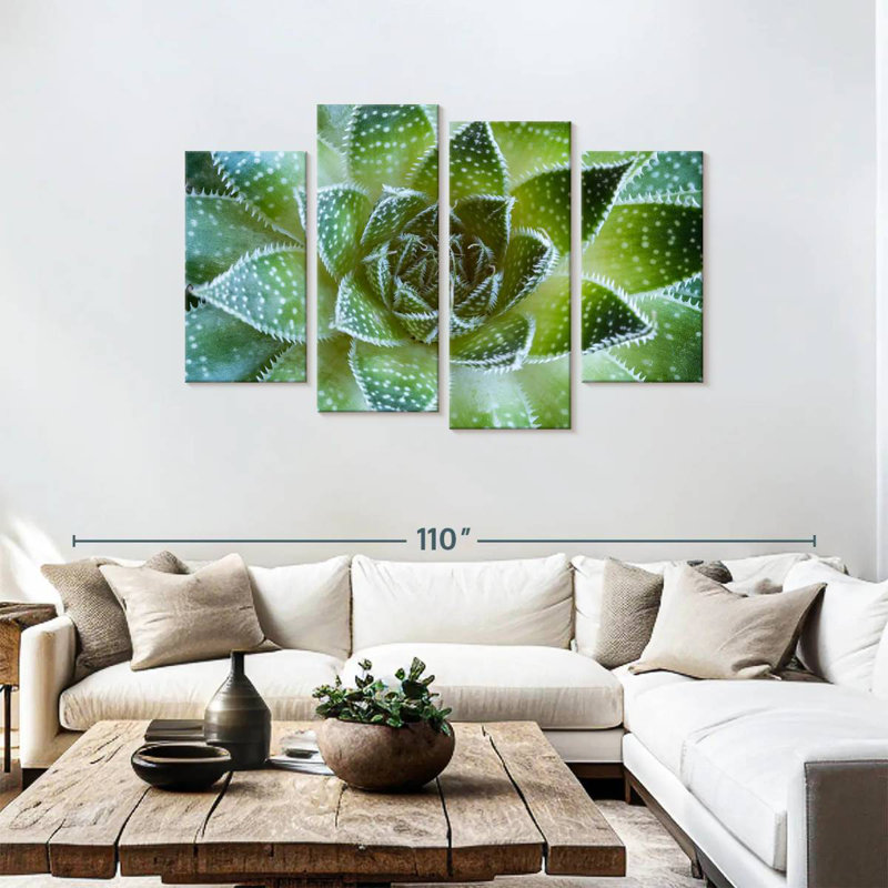 Harnek Lace Aloe Succulent, 48" H x 75" W