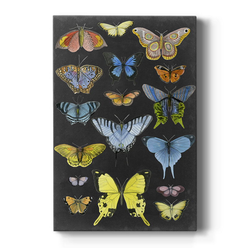 «Butterfly Taxonomie I», impression sur toile tendue, H 18 po x l 12 po x P 1 po