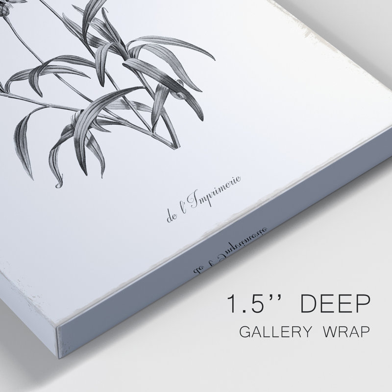 Simply Imperial - Ensemble de 2 reproductions de dessins sur toiles, H 18 po x l 24 po x P 1 po, Toile tendue