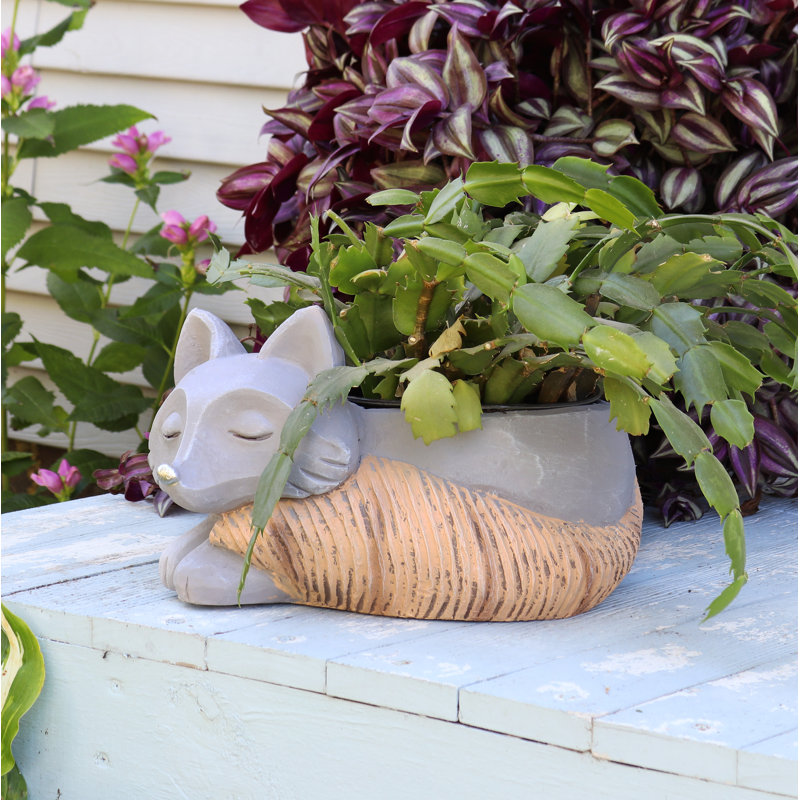 Toppino Fox Gray Ceramic Indoor Planter Pot - 12" x 7" x 8"
