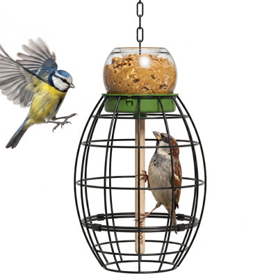 Cage à oiseaux à l'épreuve des écureuils pour l'extérieur, mangeoire à oiseaux en métal toutes saisons avec support à pot de beurre d'arachide, cage à mâcher à l'épreuve des petits oiseaux