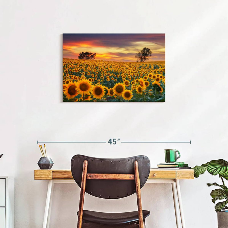 Crépuscule champ de tournesol Alvord, H 20 po x l 30 po