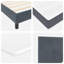 Lit avec sommier tapissier Vidaxl 39,4 x 78,7 po en velours noir-121202864
