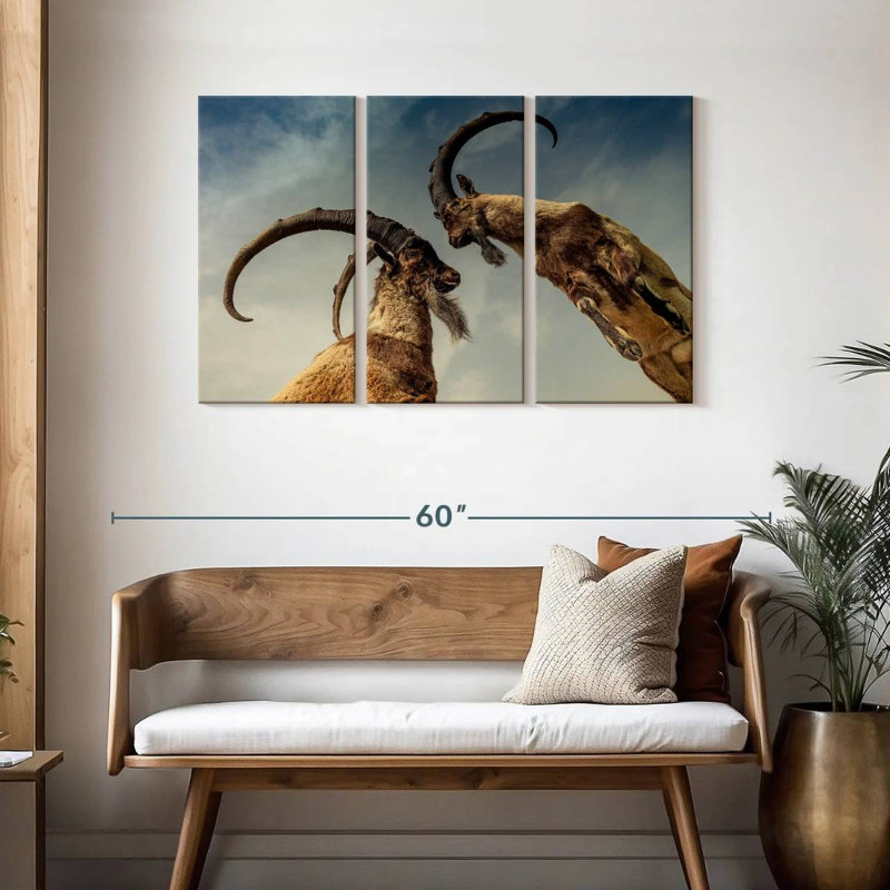Brampt Goat Clash, 28" H x 45" W