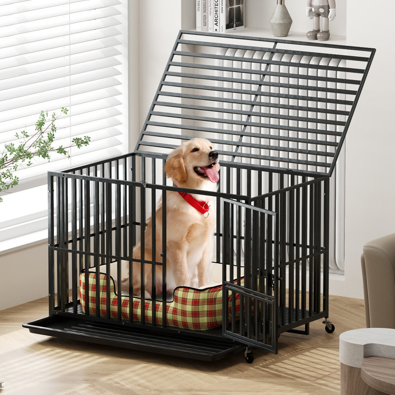 Caisse pour chien Ferndown, H 32,3 po x l 47 po x P 29,5 po