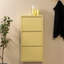 Billy 9 Pair Shoe Storage Cabinet