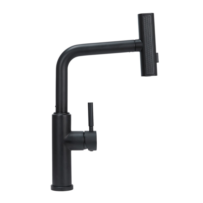 Belfry Kitchen Pull Down Kitchen Faucet