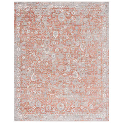 Oriental Area Rug in Rust/Gray