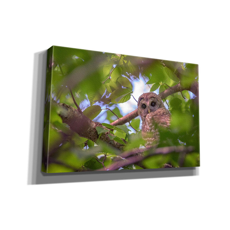 Toile épique «The Watcher» par Rick Berk, 18 po x 12 po, H 12 po x l 18 po x P 0,75 po