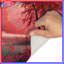 Tapis de bain Red Forest-127058120