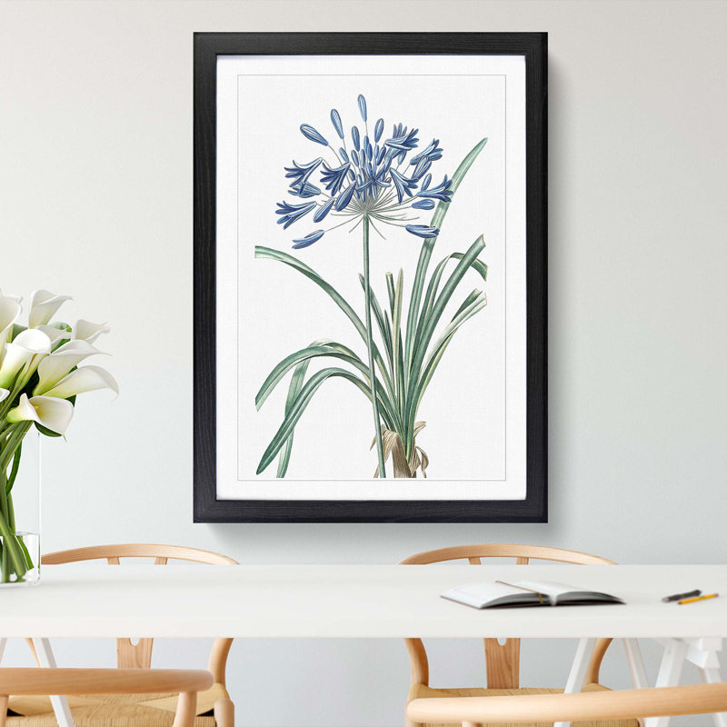 African Lily Flowers by Pierre-Joseph Redoute - Single Picture Frame Painting, Black Framed, 45cm H x 33cm W x 2cm D