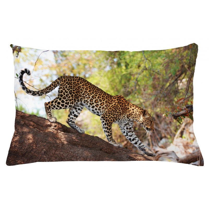 Housse de coussin lombaire intérieur/extérieur zoo, 16 po x 26 po