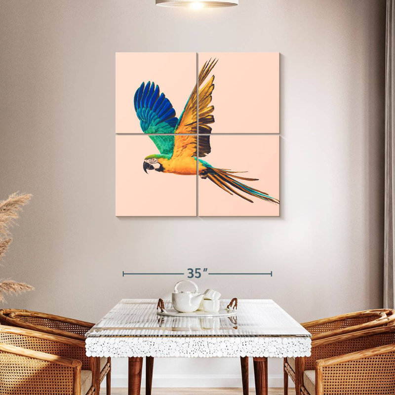 Brampt Macaw Parrot Flying