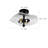 Flush Mount Ceiling Light (Black)