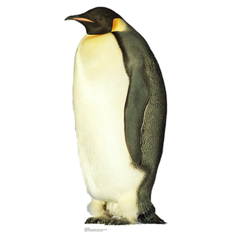 Life-Size Penguin Cardboard Standup with Easel