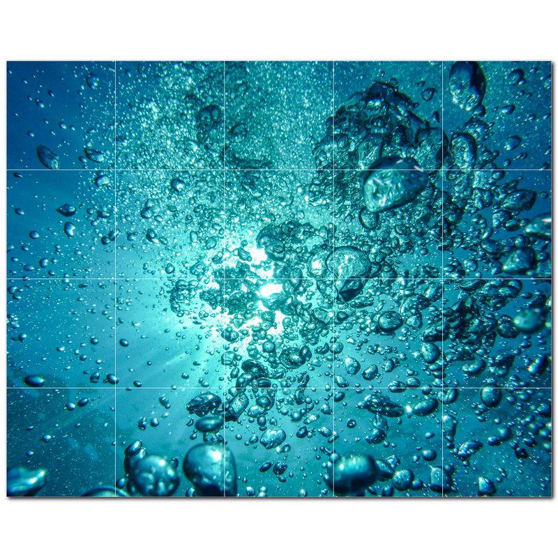 Corail photo 12 po x 12 po