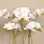 Orchid Floral Arrangement in Planter-249749281-249749293-249749295