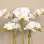 Orchid Floral Arrangement in Planter-249749295-249749293-249749281