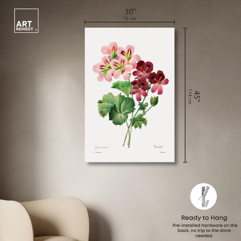 Art Remedy, impressions sur toile, géranium, 1827, Toile tendue, H 45 po x l 30 po
