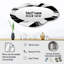Miroir mural Essential Essentials Streams
