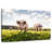 Crowle Sunny Meadow Pigs-111834817