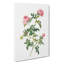 English Roses in Pink by Pierre-Joseph Redoute - Wrapped Canvas-55370491