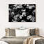 Harnek Roses BW-106812006