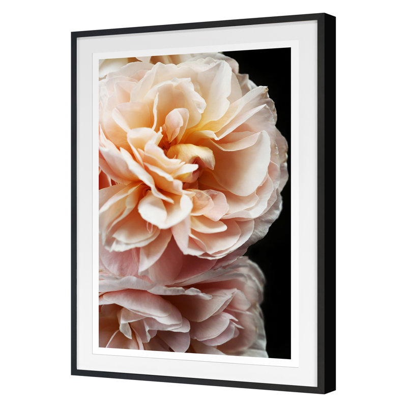 Floribunda II Print by Alicia Bock, Black Framed, 42" H x 30" W