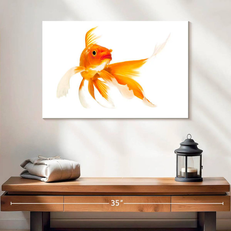 Brampt Goldfish, H 16 po x l 24 po