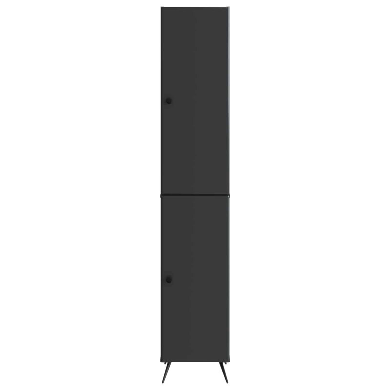 2 -Door 4 Storage Cabinet, Black
