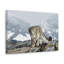 No Frame Print on Canvas-1852067390