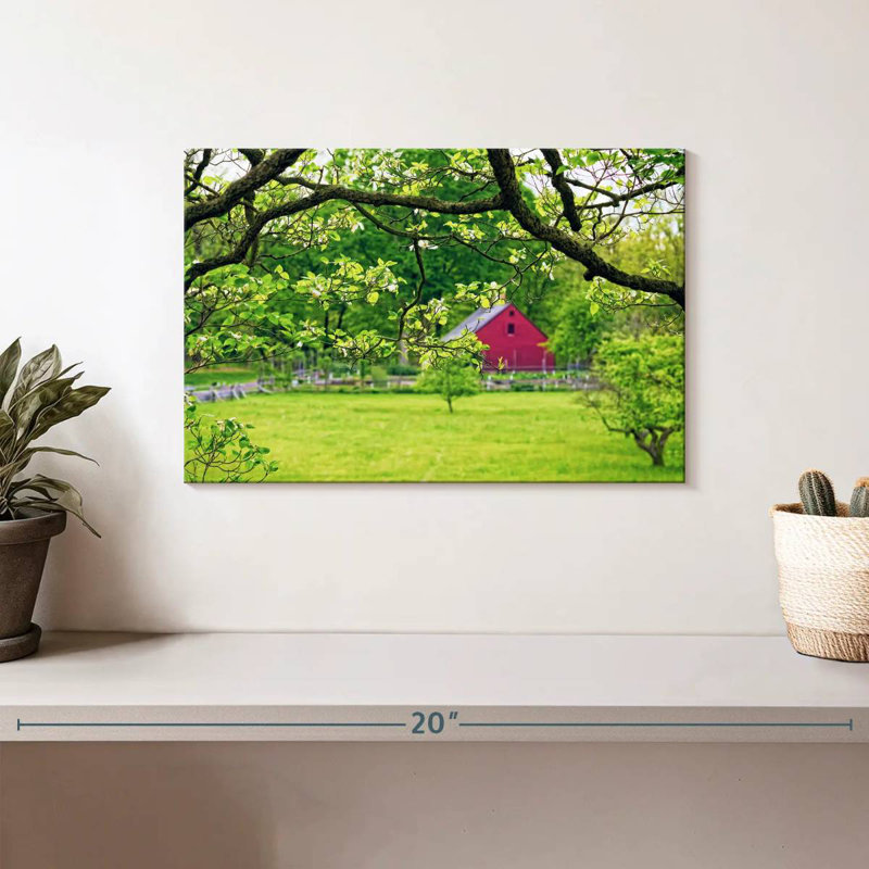 Alvord Verdant Spring Jockey Hollow Park, New Jersey, H 8 po x l 12 po