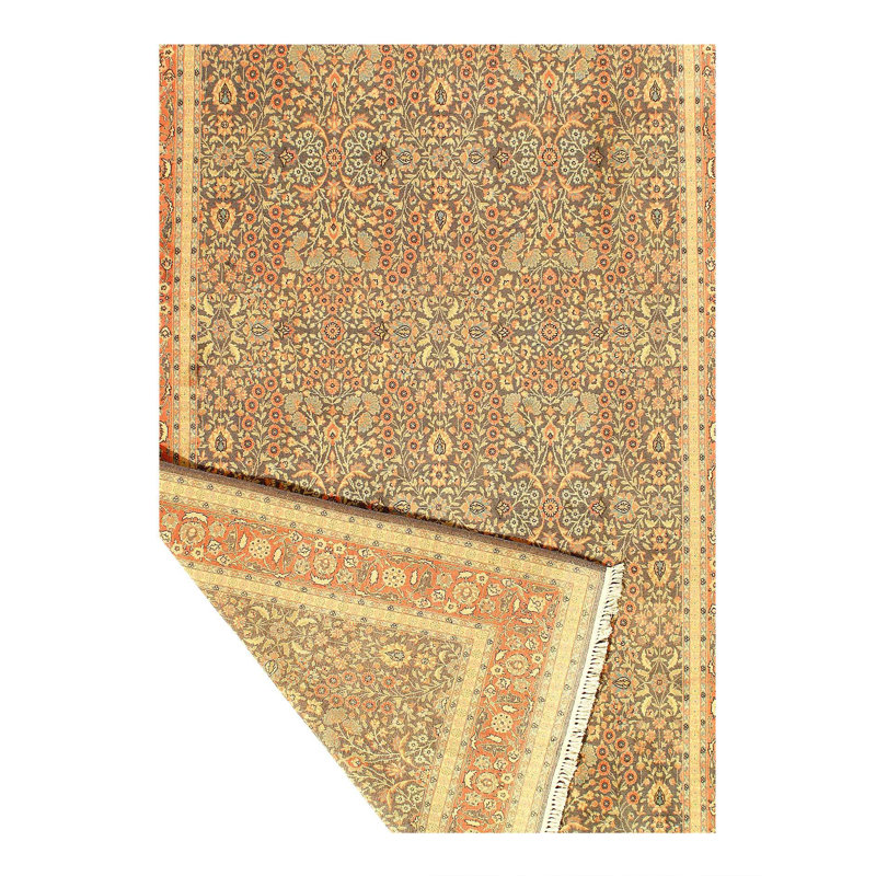 Oriental Area Rug in Brown