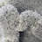 Indoor Rug-600012970