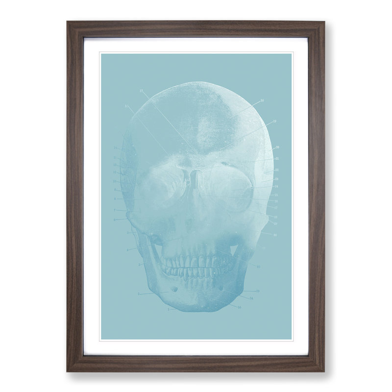 Blue Twilight Skull - Picture Frame Graphic Art, 65cm H x 48cm W x 2cm D, Walnut