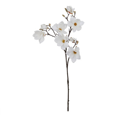 Anastasija Arrangement