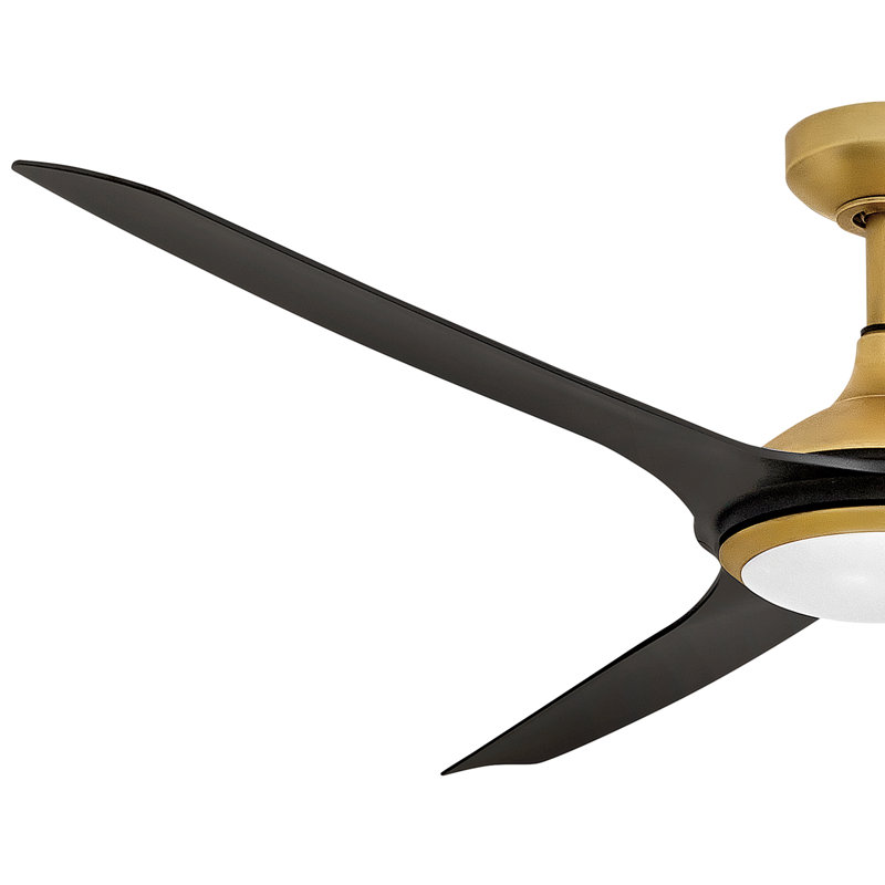 Ventilateur de plafond à DEL Hinkley Talon, Noir mat, Or