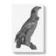 Spotted Eagle Illustration - Wrapped Canvas Print-55339046