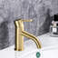 Single Hole Bathroom Faucet-122001066