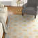 Damask Indoor / Outdoor Rug