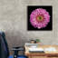 Mauve dégradé par Donnie Quillen-88585416