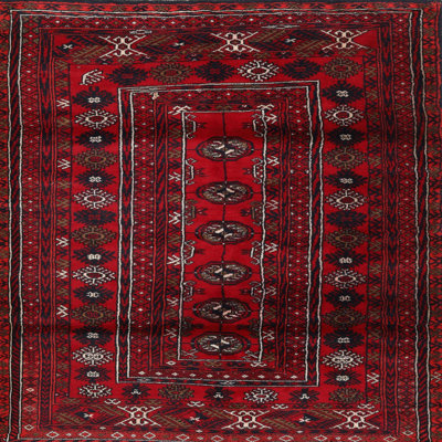 Oriental Indoor Rug