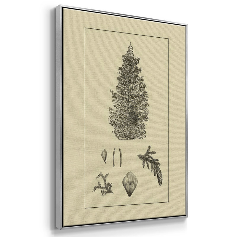 Arbor Study I, Argent, H 41 po x l 27 po x P 1,5 po