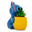 Plante de 6 po