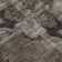 Getchell Washable Floral Indoor / Outdoor Rug