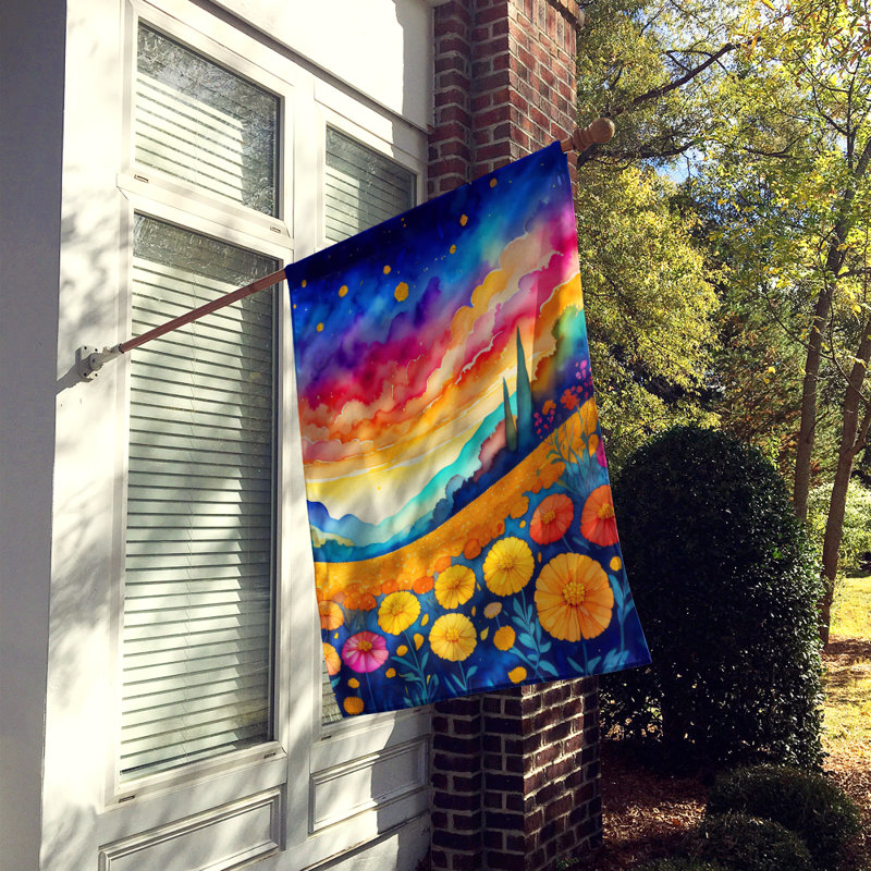 Drapeau de maison en polyester à double face H 40 po x l 28 po