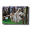 «Baby Sloth» par Epic Graffiti Portfolio-518190062